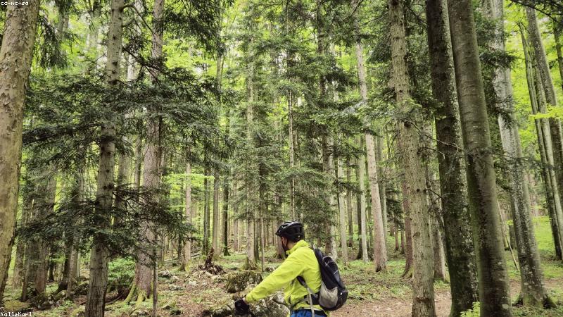Brasileiro MTB XCO/XCM: Título Nacional em Jogo